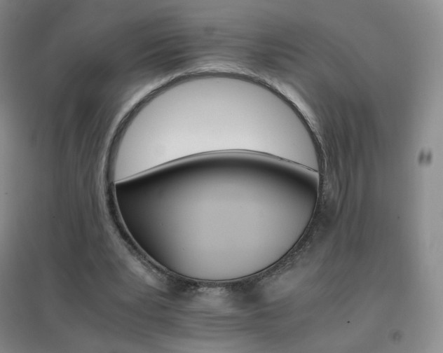 X0000096700391200802051416