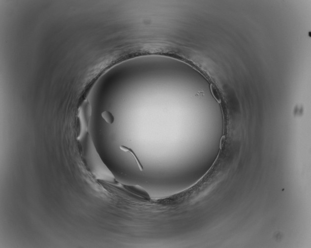 X0000096700393200802051416