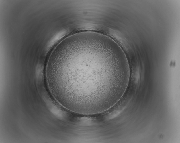 X0000096700394200802051416