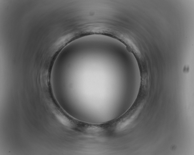 X0000096700397200802051416