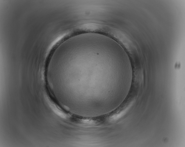 X0000096700399200802051416