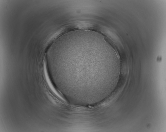 X0000096700405200802051416