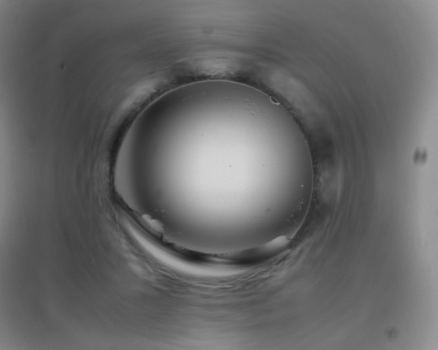 X0000096700407200802051416