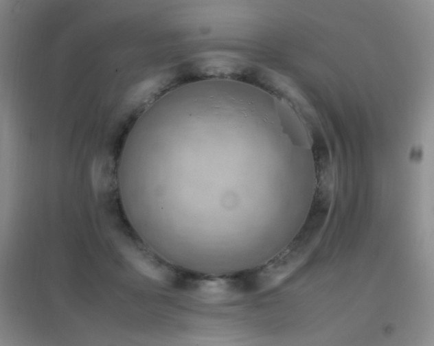 X0000096700411200802051416
