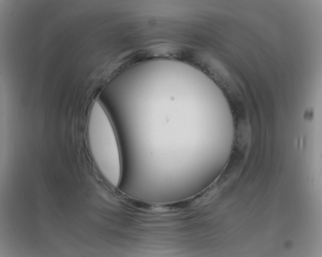 X0000096700413200802051416