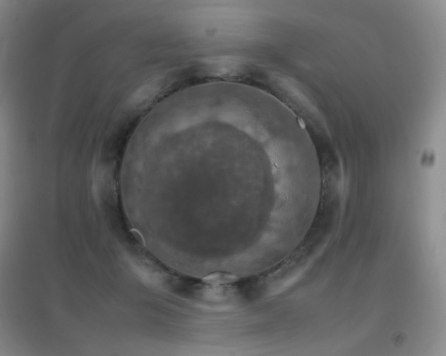 X0000096700415200802051416