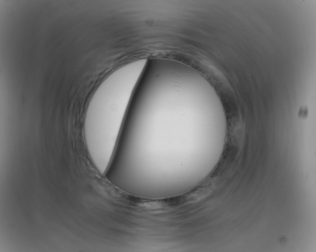 X0000096700417200802051416