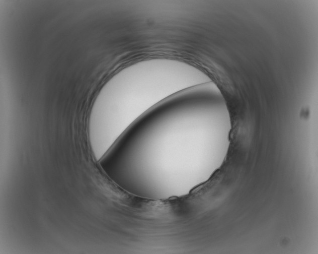 X0000096700421200802051416
