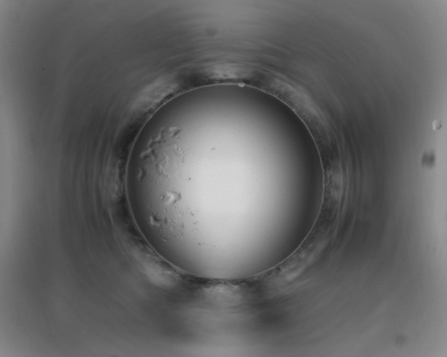 X0000096700422200802051416