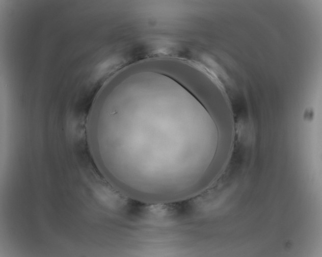 X0000096700423200802051416
