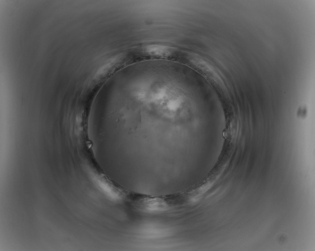 X0000096700424200802051416