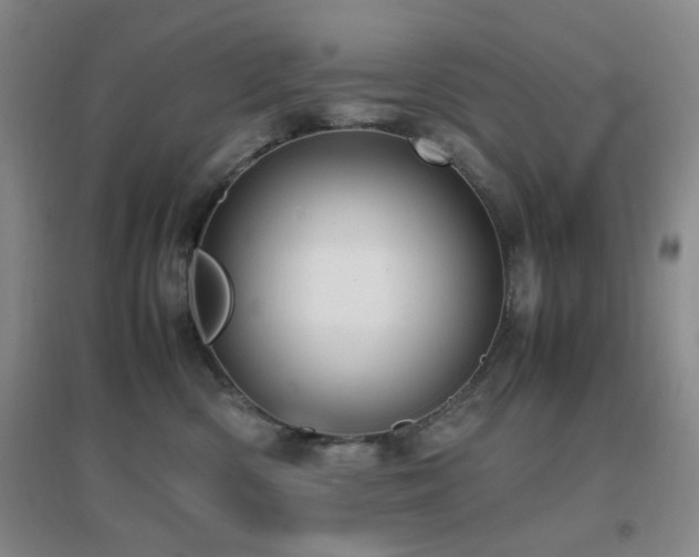 X0000096700426200802051416
