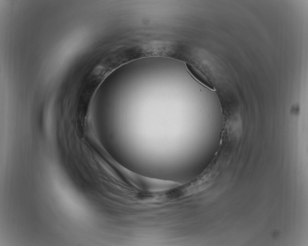 X0000096700429200802051415