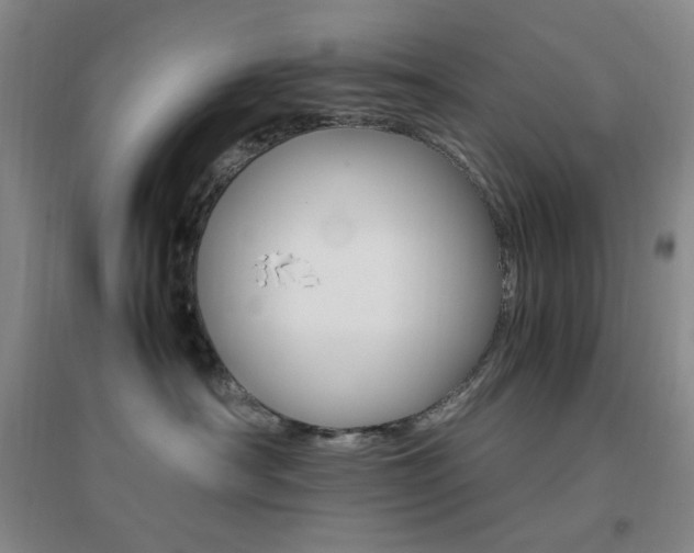 X0000096700430200802051415