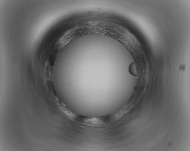 X0000096700431200802051415