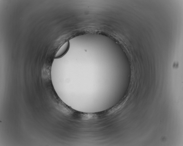 X0000096700432200802051415