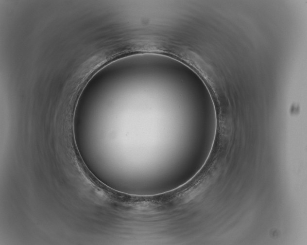 X0000096700433200802051415