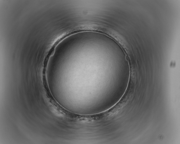 X0000096700434200802051415