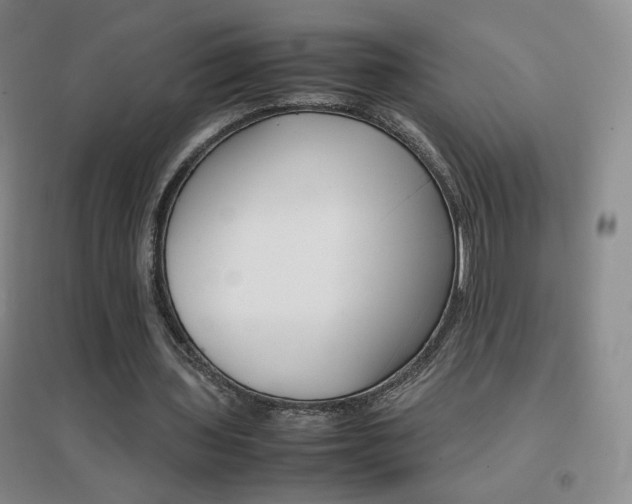 X0000096700435200802051415