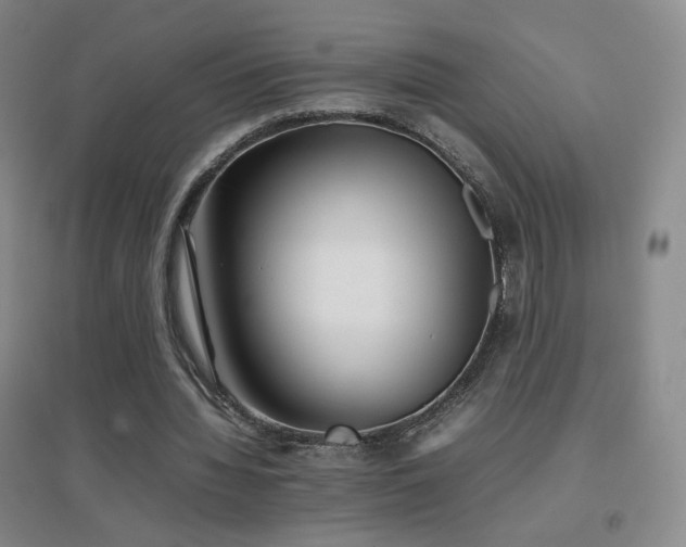 X0000096700436200802051415