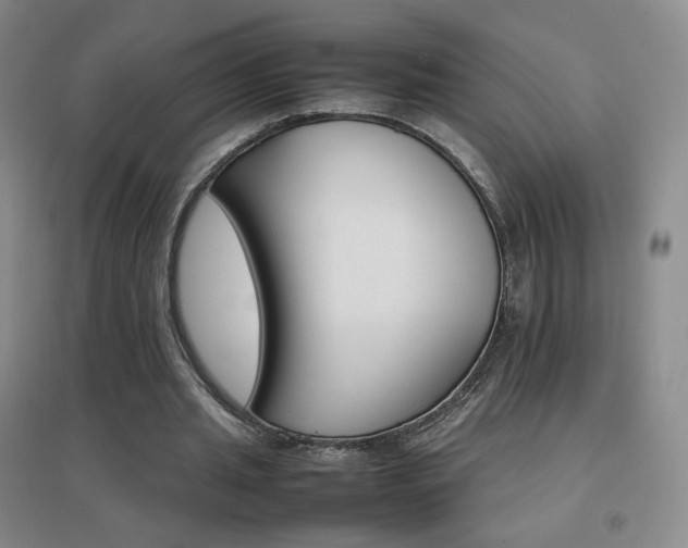 X0000096700437200802051415