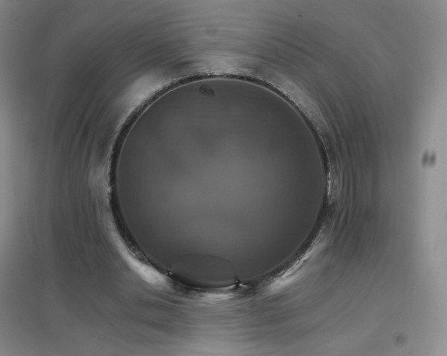 X0000096700438200802051415