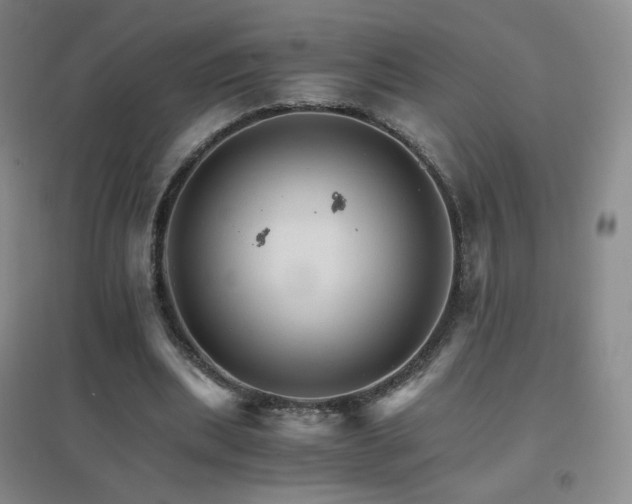 X0000096700439200802051415