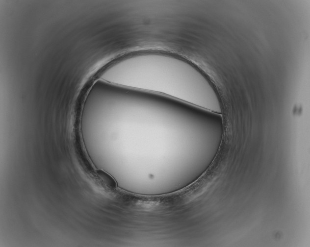 X0000096700440200802051415