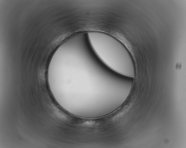 X0000096700441200802051415