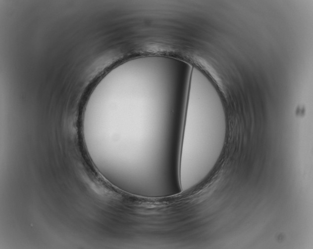X0000096700443200802051415