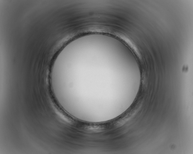 X0000096700445200802051415