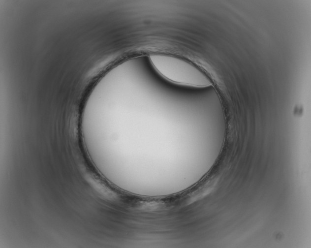 X0000096700446200802051415
