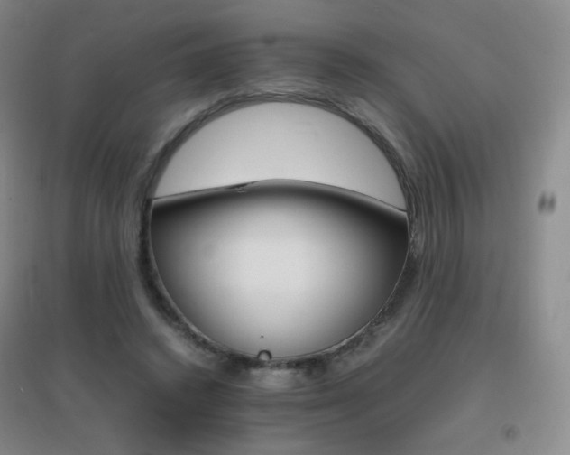 X0000096700448200802051415