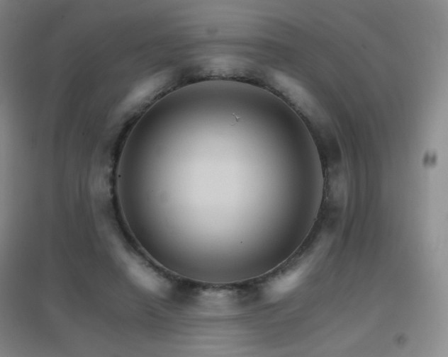 X0000096700450200802051415
