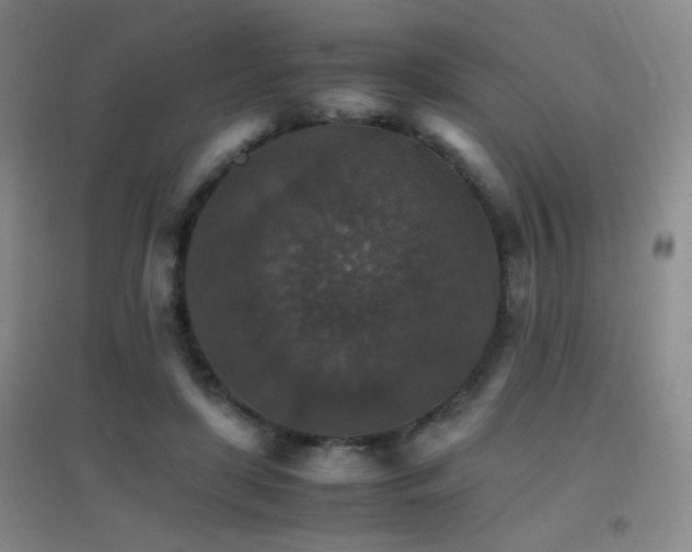 X0000096700451200802051415