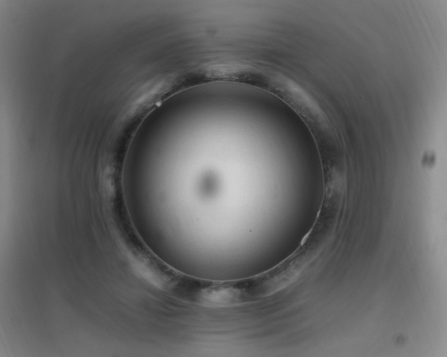 X0000096700452200802051415