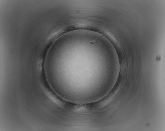 X0000096700454200802051415