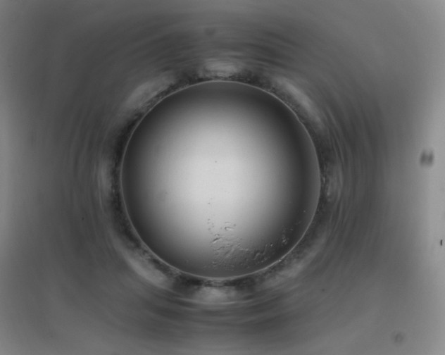 X0000096700455200802051415