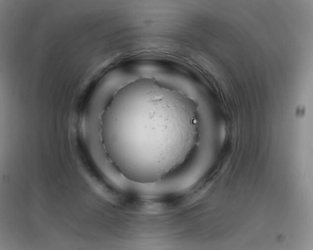 X0000096700456200802051415