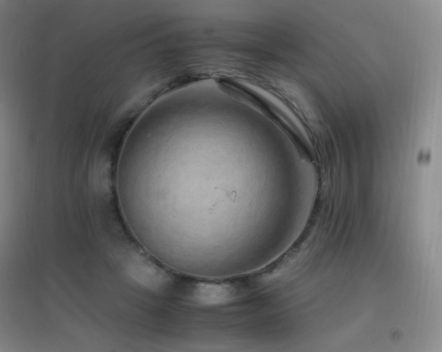 X0000096700457200802051415