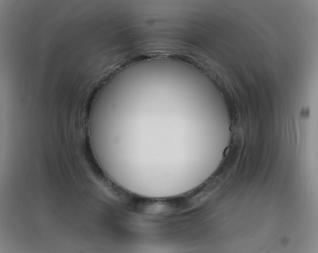 X0000096700460200802051415