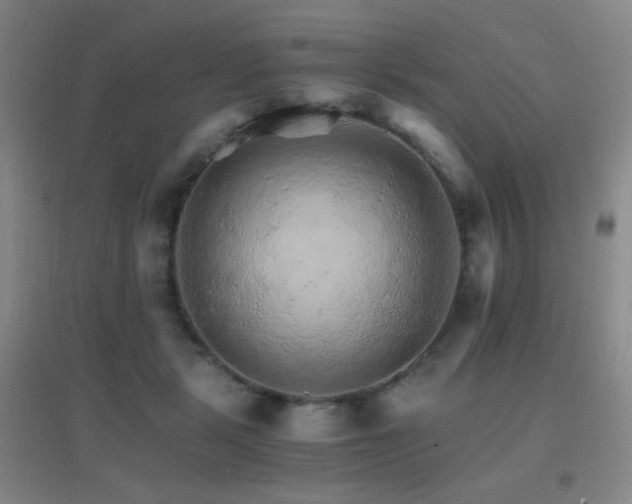 X0000096700461200802051415