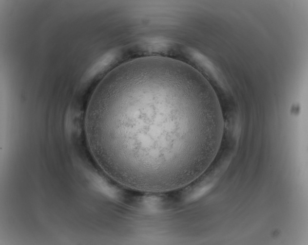 X0000096700462200802051415