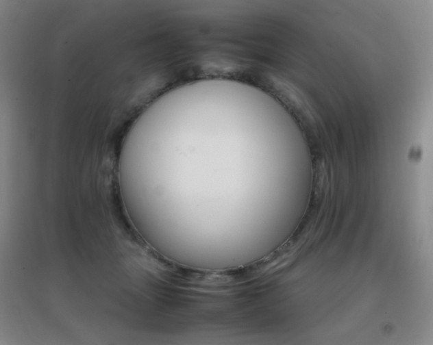 X0000096700463200802051415