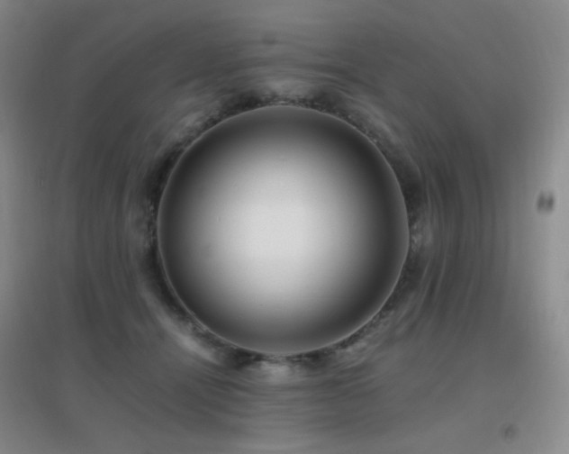 X0000096700464200802051415