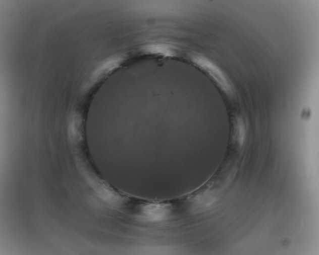 X0000096700465200802051415
