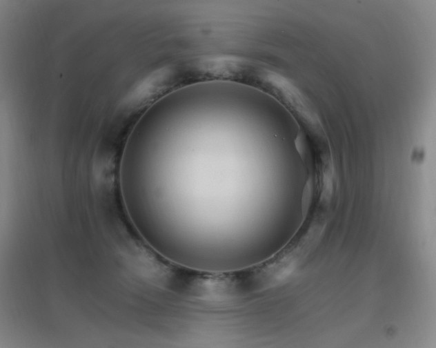 X0000096700466200802051415