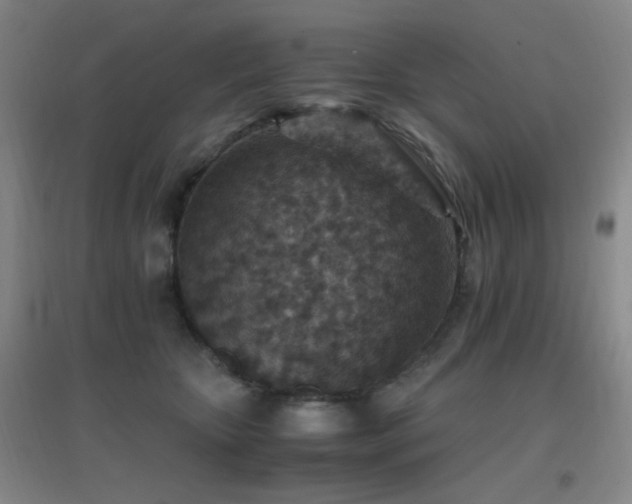 X0000096700467200802051415