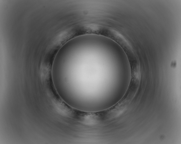 X0000096700468200802051415
