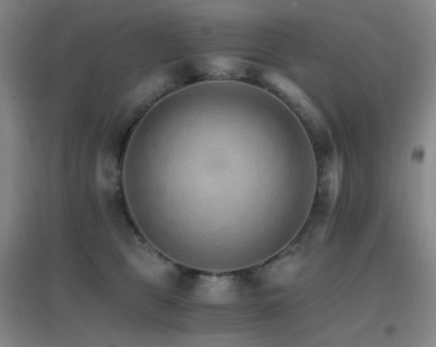X0000096700469200802051415